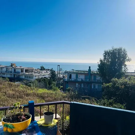 Euforbia Bilo - San Remo